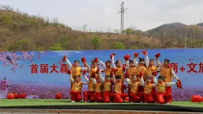 大森店小学学生舞蹈《开门红》 Dasendian Primary School Student Dance " A Good Start"