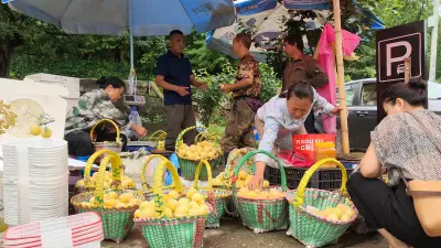 “共益乡旅”助力乡村振兴